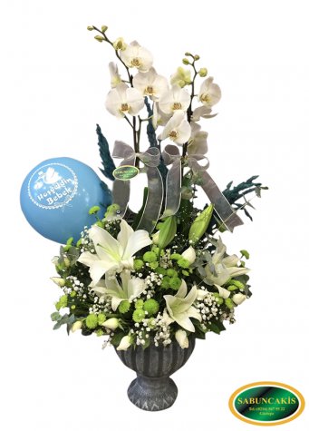 BOY - Saksı Orkideli Beyaz Aranjman Tasarım