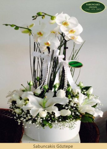 EURO - Seramik Vazoda Saksı Orkide ve Beyaz Çiçekler